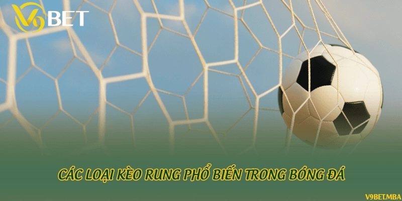 Các loại kèo rung phổ biến trong bóng đá