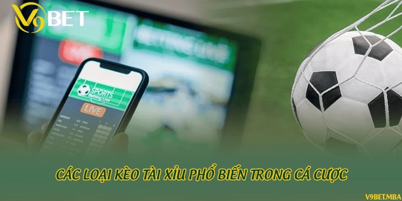 Các loại kèo tài xỉu phổ biến trong cá cược