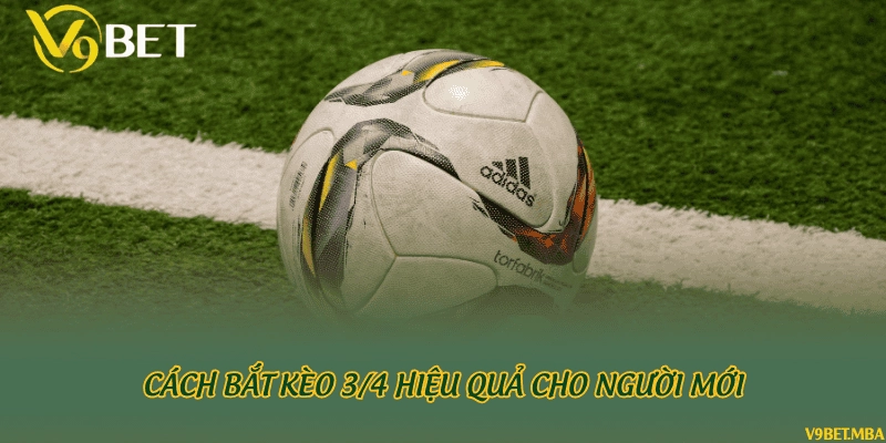 Cách bắt kèo 3/4 hiệu quả cho người mới