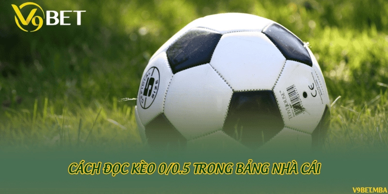Cách đọc kèo 0/0.5 trong bảng nhà cái
