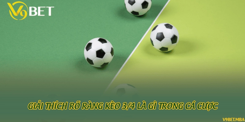 Giải thích rõ ràng kèo 3/4 là gì trong cá cược