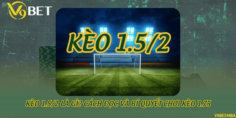 Kèo 1.5/2 là gì? Cách đọc và bí quyết chơi kèo 1.75