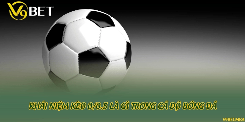 Khái niệm kèo 0/0.5 là gì trong cá độ bóng đá