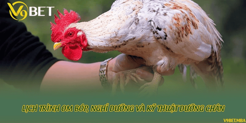 Lịch trình om bóp, nghỉ dưỡng và kỹ thuật dưỡng chân